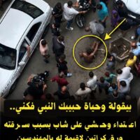 *الموجز الإخباري لأبرز أنشطة الدكتور شريف فاروق وزير التموين والتجارة